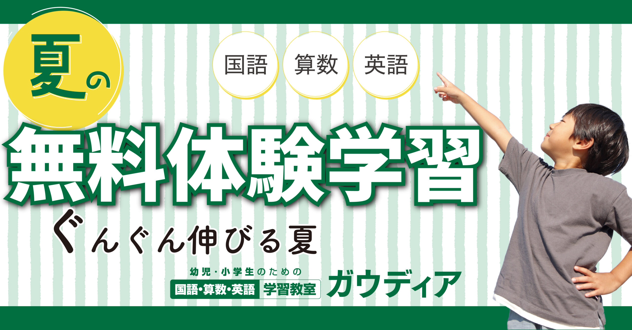 ガウディア 6年生 日能研 算数 プリント ピグマリオン Ｚ会 サピックス - 野菜