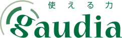 株式会社ガウディア