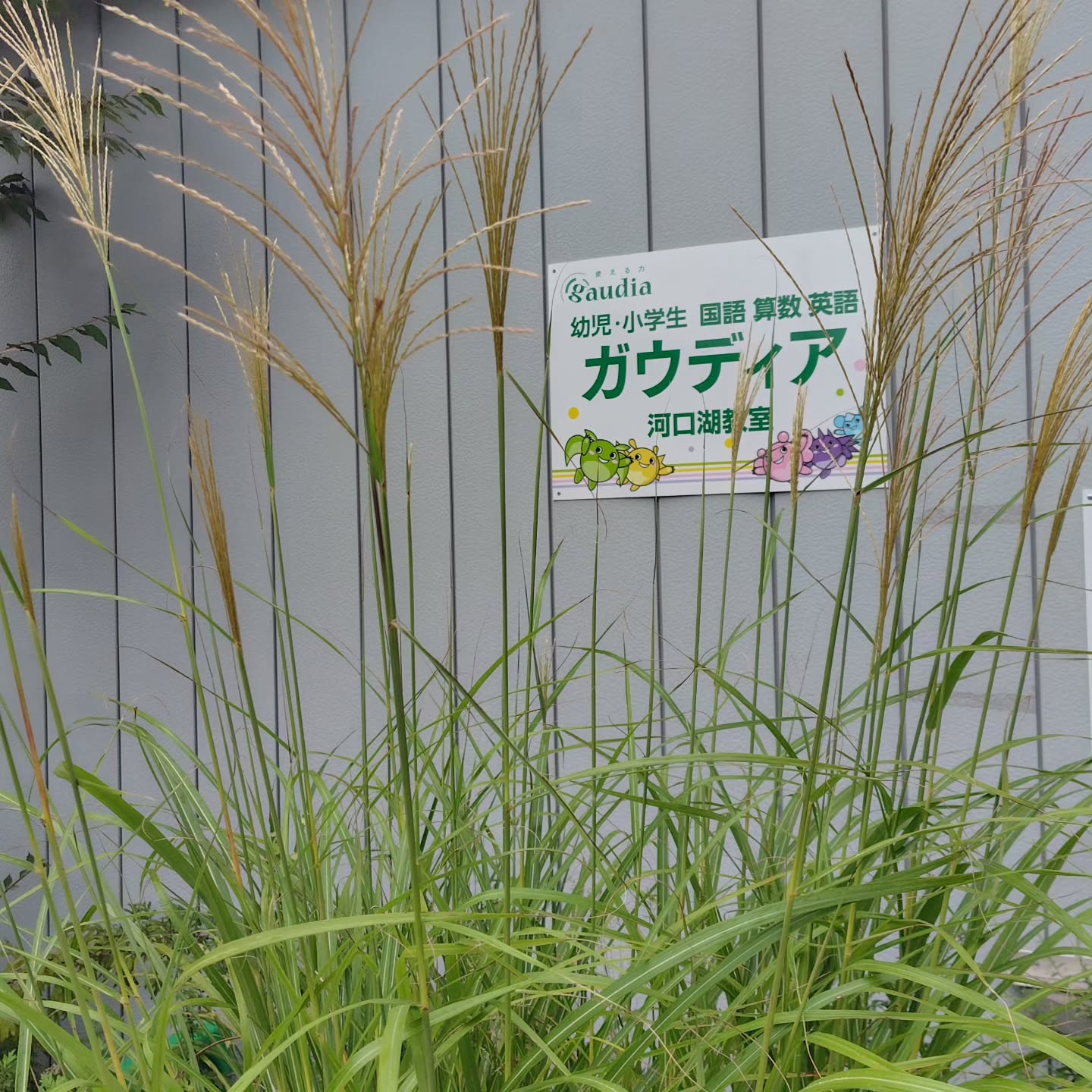 河口湖教室
